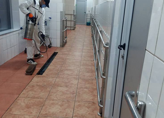 mvtotalcleaning