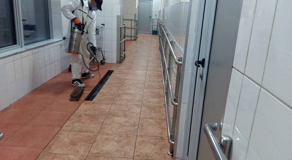 mvtotalcleaning (9)